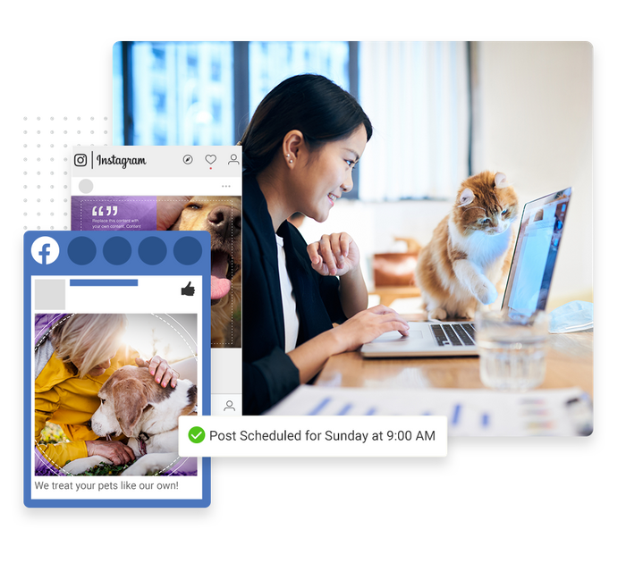 veterinarian social media marketing